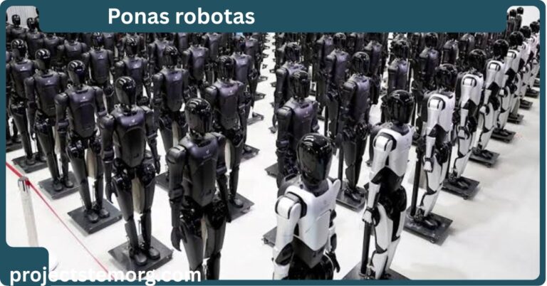 ponas robotas